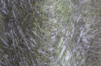 Standish fibreglass roof work